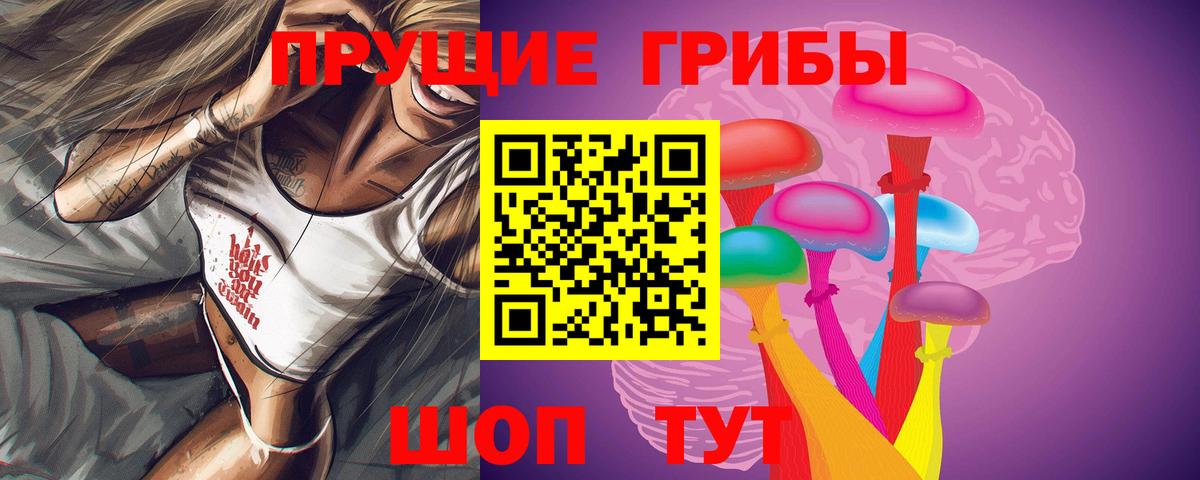 купить закладку  Псилоцибиновые грибы Cubensis  Вход с VPN  Печора  Псилоцибиновые грибы мухоморы 
